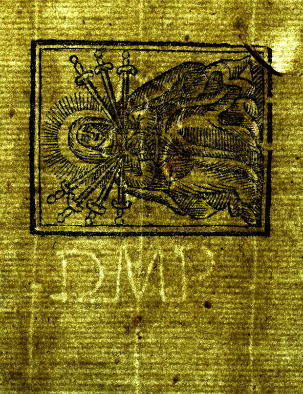 image of ID. 36 testa di profilo, DMP