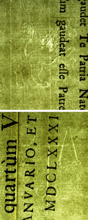 image of ID. 54 leone rampante; bV, trifoglio