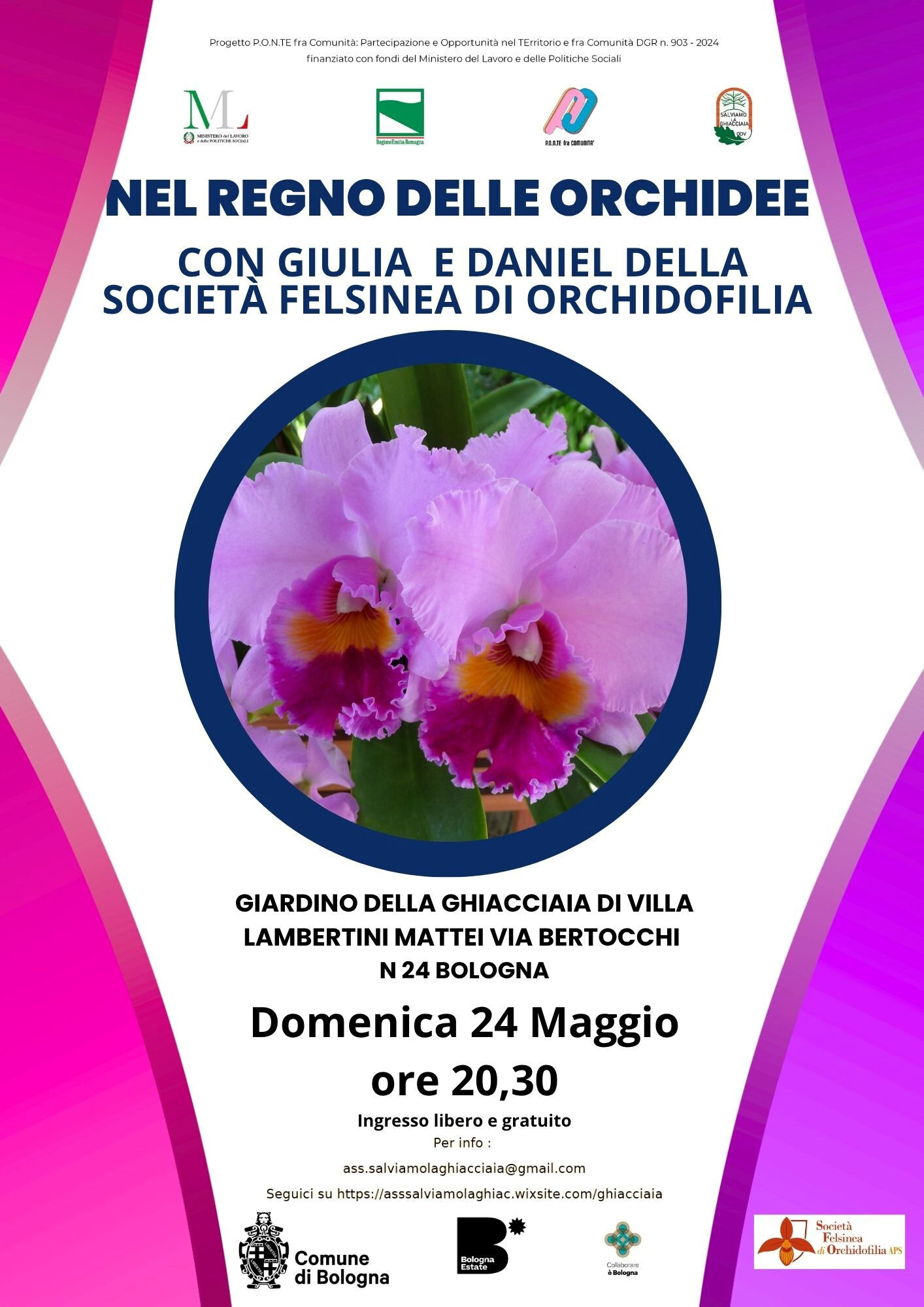 Nel regno delle orchidee