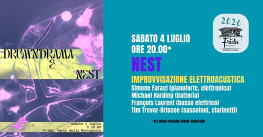 immagine di Nest | improvvisazione elettroacustica