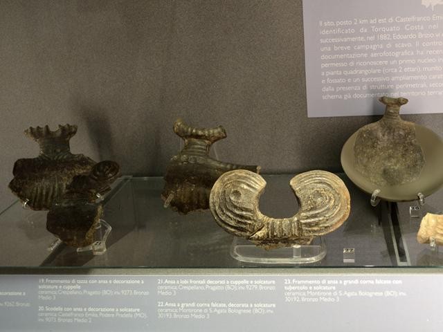 Frammenti di vasi e anse dalle terramare della provincia di Bologna 