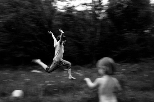 la danza degli animali.jpg