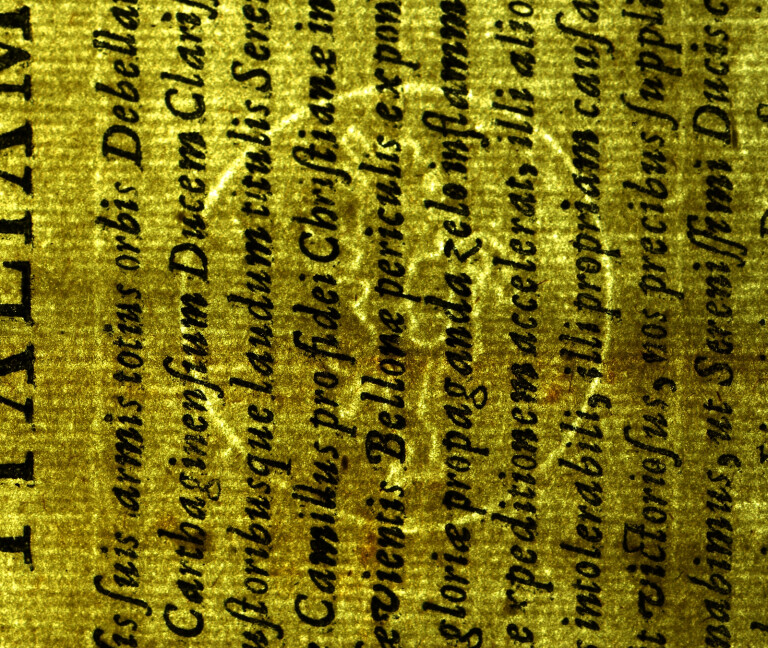 image of ID. 207 leone rampante cerchiato