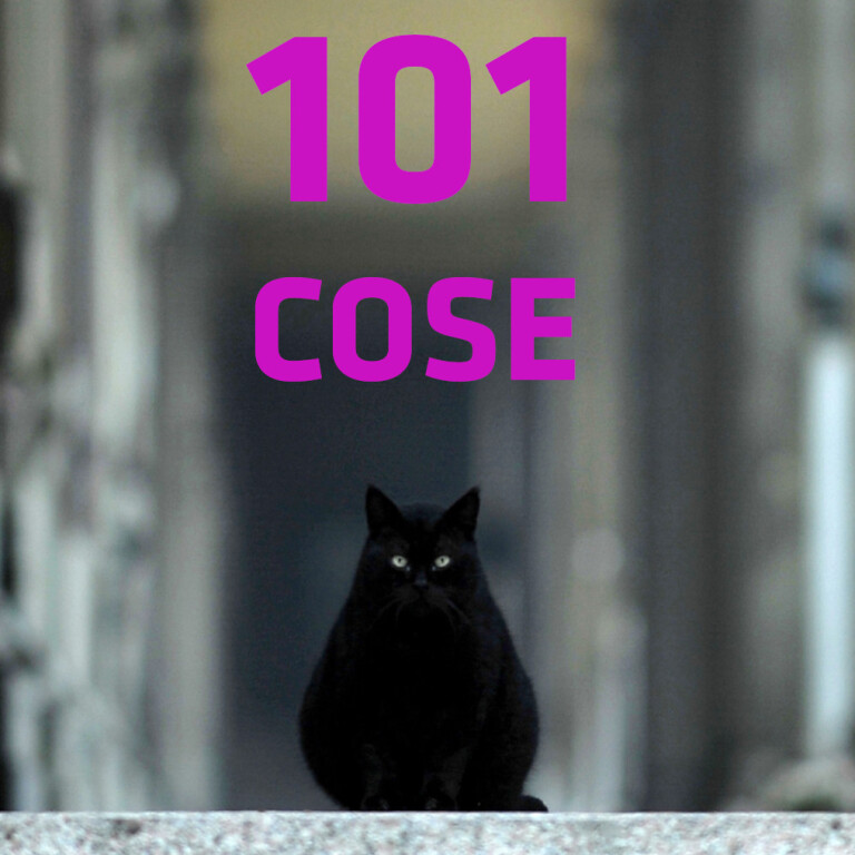 copertina di 101 cose da sapere sulla Certosa