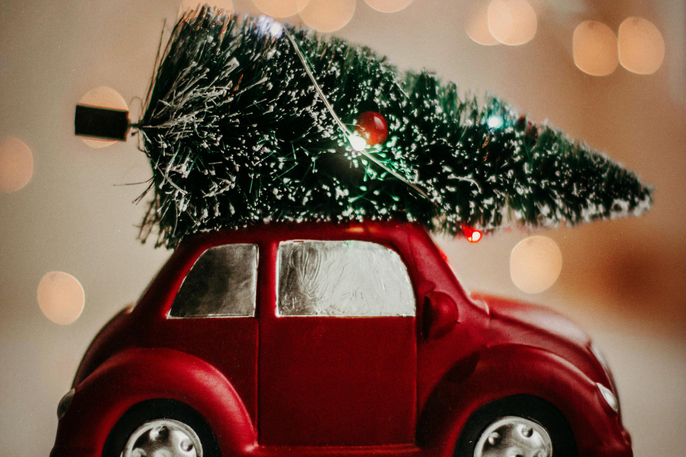 copertina di Novità per bambine e bambini dai 3 ai 6 anni | Salaborsa Ragazzi | Christmas edition 2025
