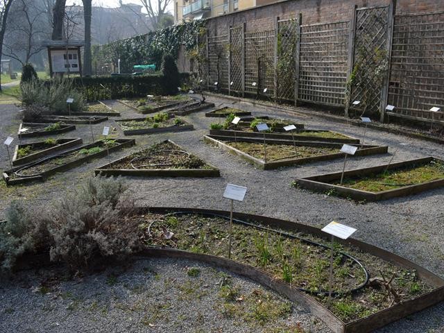L'Orto dei Semplici - ricostruzione del Giardino di Aldrovandi nel Palazzo comunale (BO)
