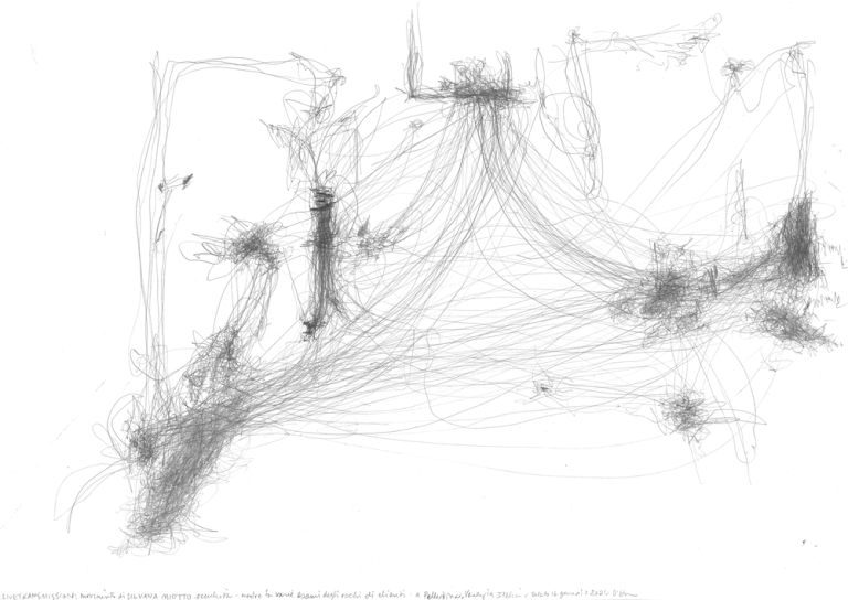 immagine di Live Transmission