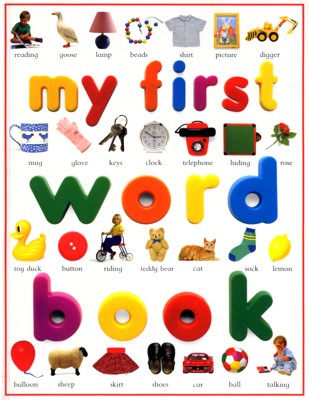 immagine di My first word book