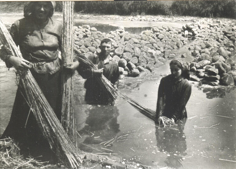 copertina di Festa della Canapa
