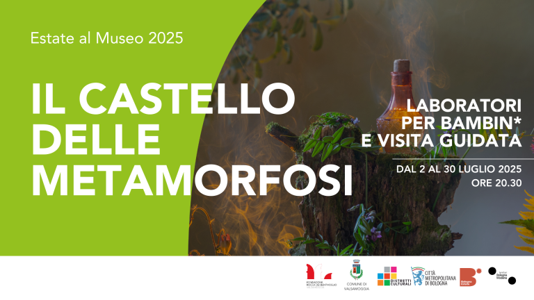 copertina di Il castello delle metamorfosi
