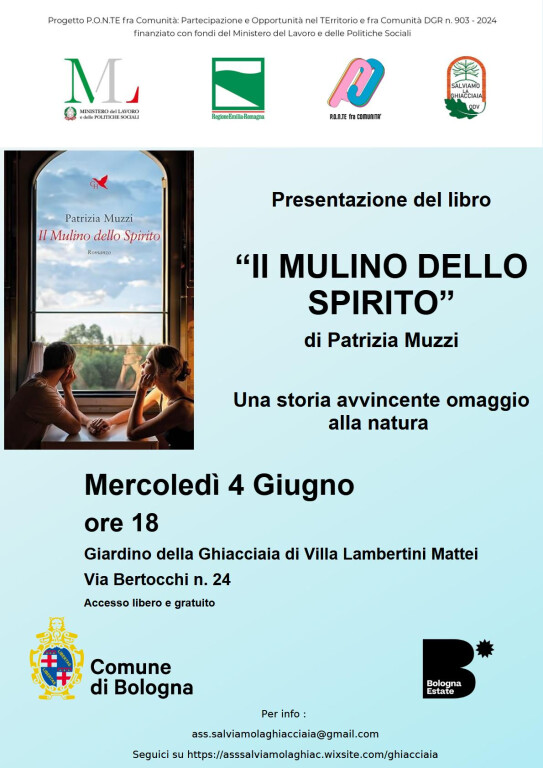 copertina di Il mulino dello spirito