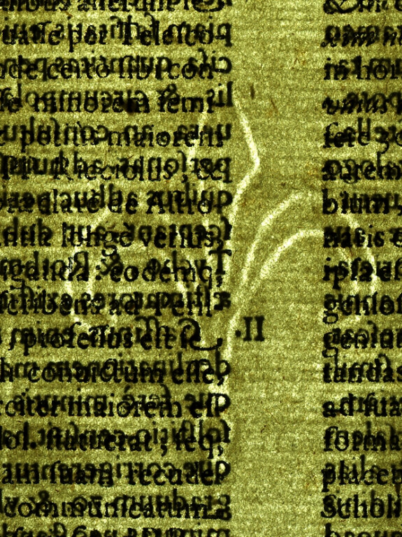 image of ID. 20 giglio