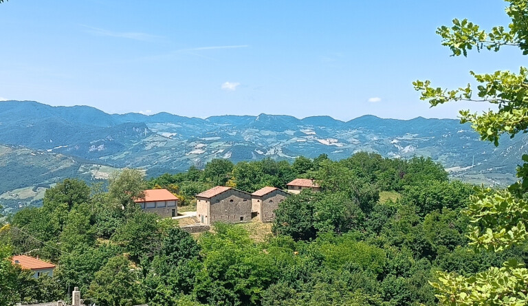 copertina di Gli allievi di Morandi, all'incrocio tra io e mondo