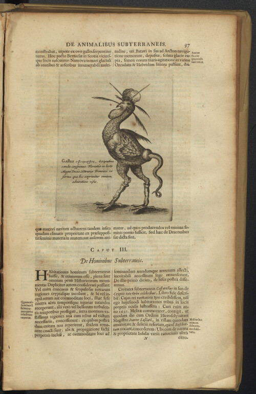 immagine di Athanasius Kircher, Mundus subterraneus. Tomus secundus (1665)