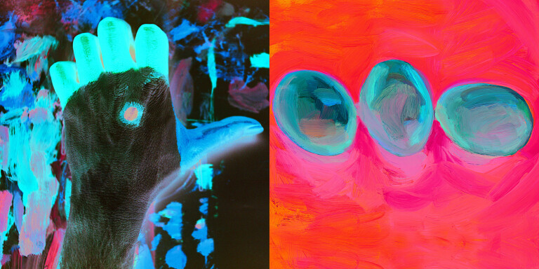 copertina di Ritratto di editore: Thierry Magnier