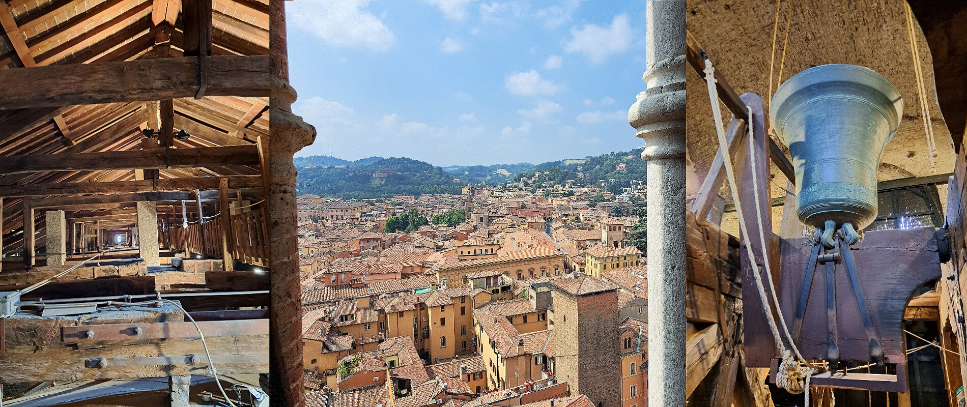 Il cielo in terra: campanile e sottotetto di San Petronio