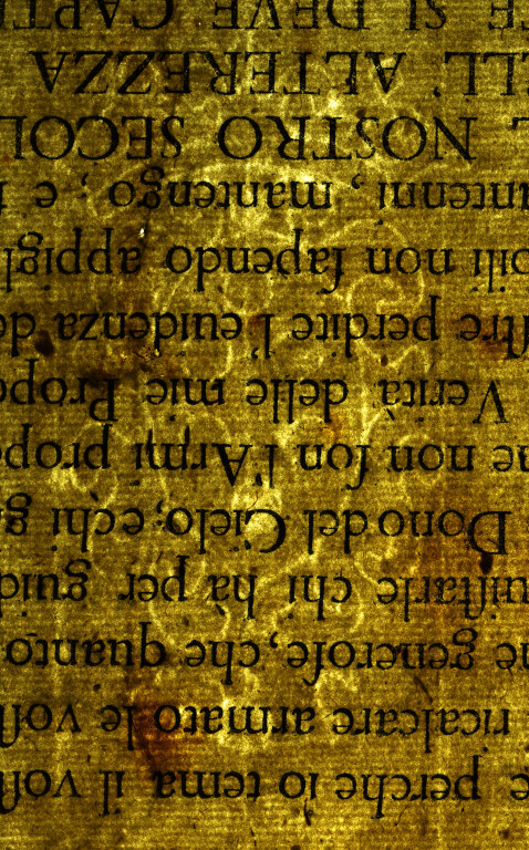 image of ID. 216 stemma Medici, GBS