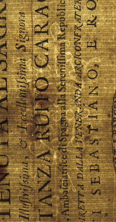image of ID. 149 stemma Medici, GAS