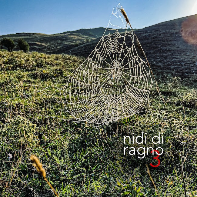 cover of nidi di ragno 3