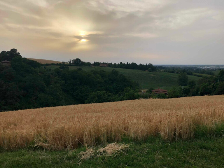 immagine di 