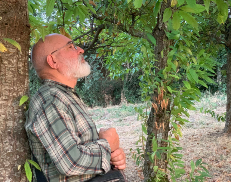 copertina di Antica Fiera dell’Agricoltura: immergersi nelle energie della natura.