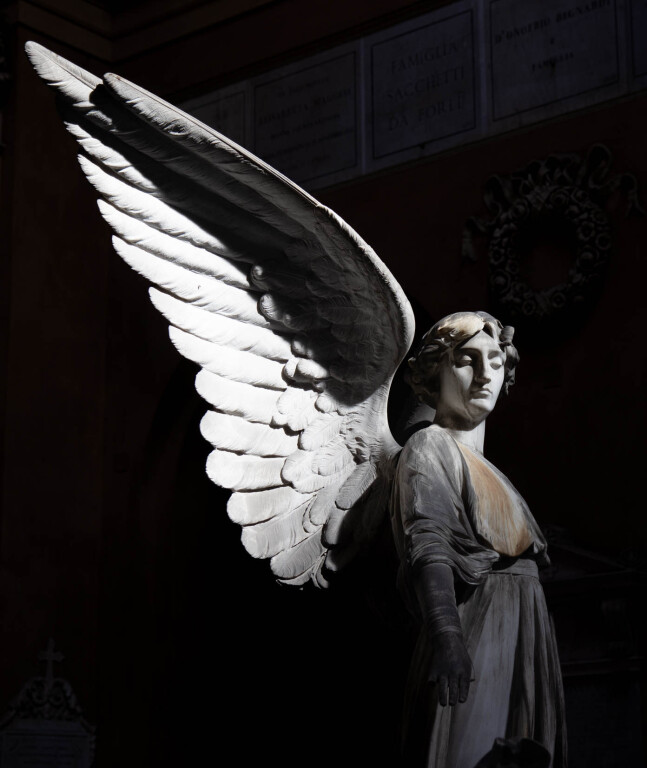 immagine di Angeli e demoni. Simboli ed enigmi alla Certosa