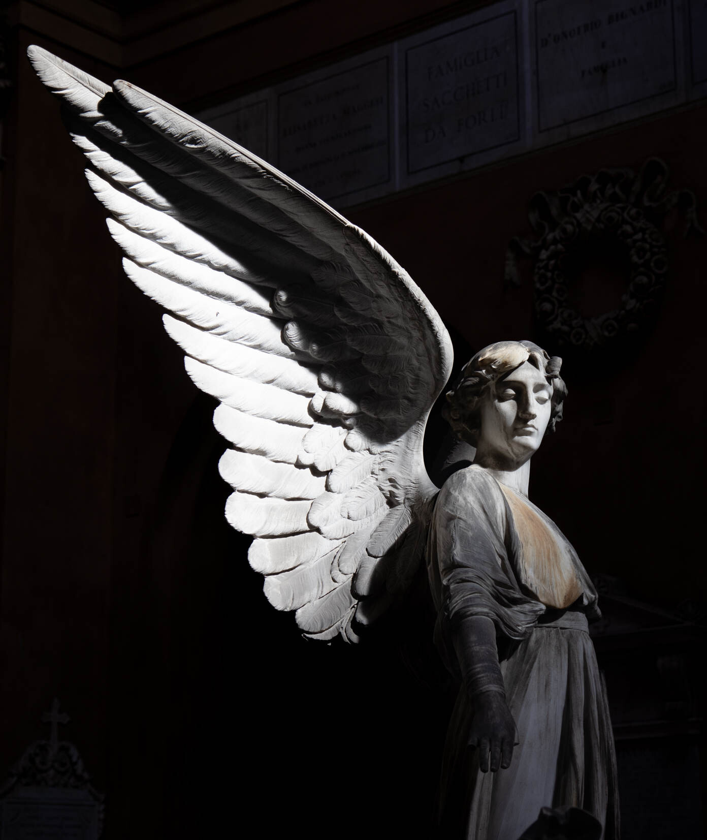 copertina di Angeli e demoni. Simboli ed enigmi alla Certosa