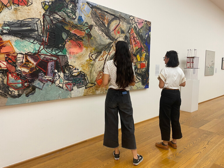 copertina di Le insolite 