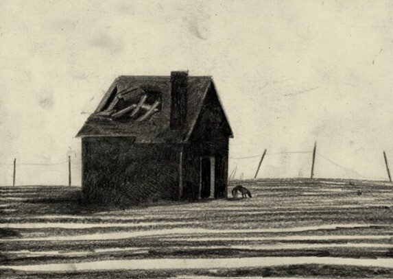 immagine di Verderame 