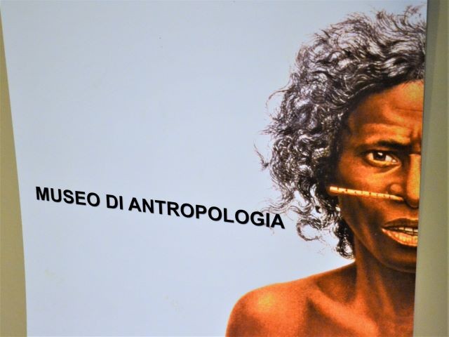 Collezione di Antropologia