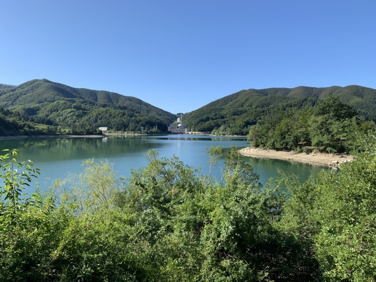 tn BRASIMONE2