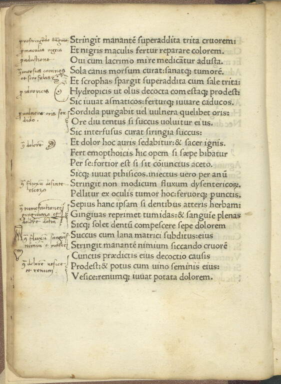 image of Macer Floridus, De viribus herbarum carmen (1482)