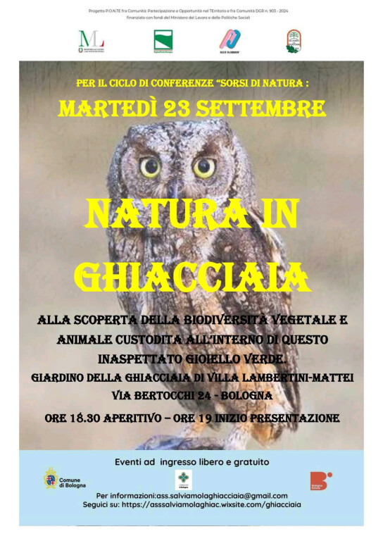 copertina di Natura in ghiacciaia