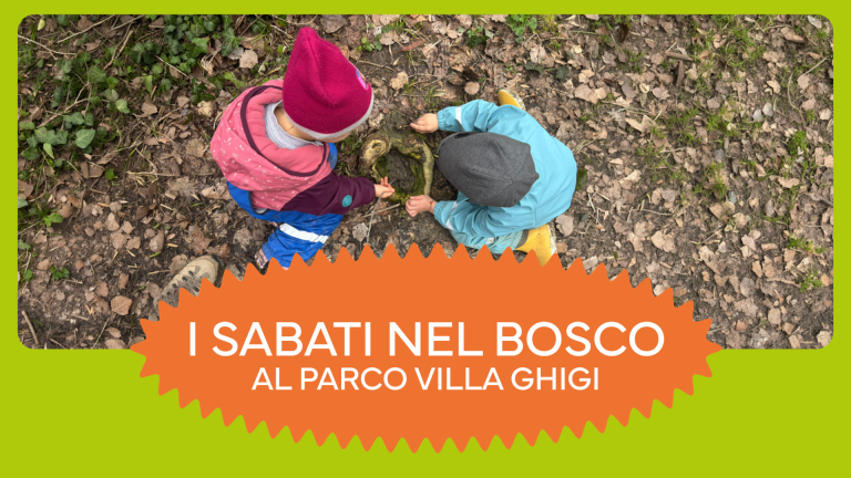 immagine di I sabati nel bosco al parco Villa Ghigi