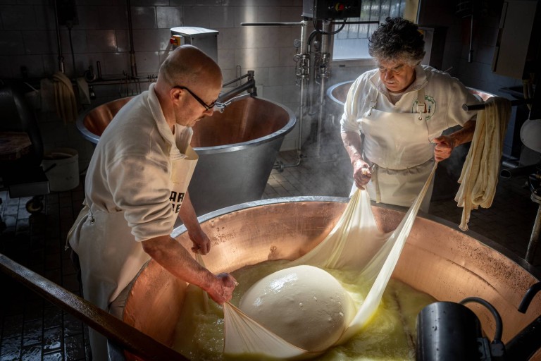 cover of Le fermate del gusto : tour enogastronomici nel territorio bolognese