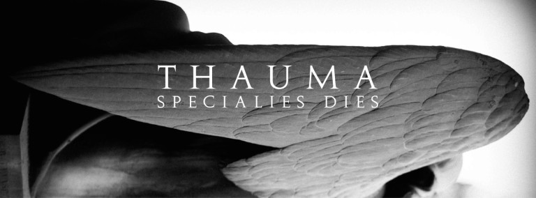 certosa_thauma3