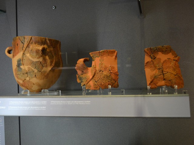 Frammenti di vasi provenienti dal villaggio neolitico di Casalecchio 