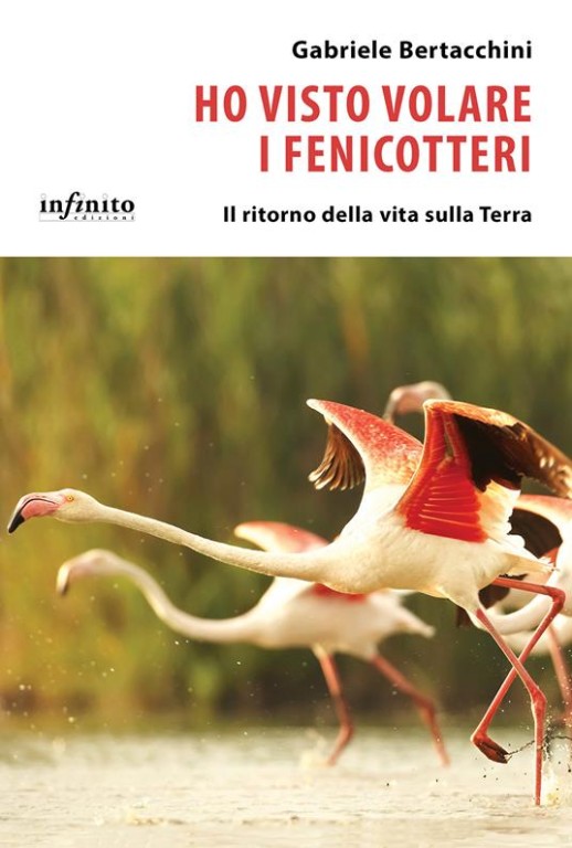 copertina di Ho visto volare i fenicotteri