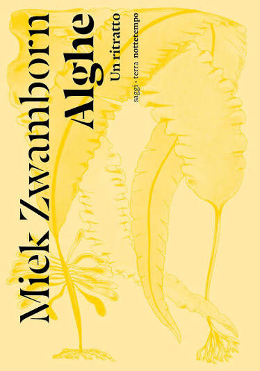 copertina di Alghe. Un ritratto