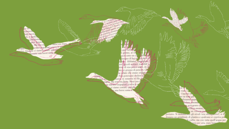 Letteratura migrante e postcoloniale italiana | Antologie