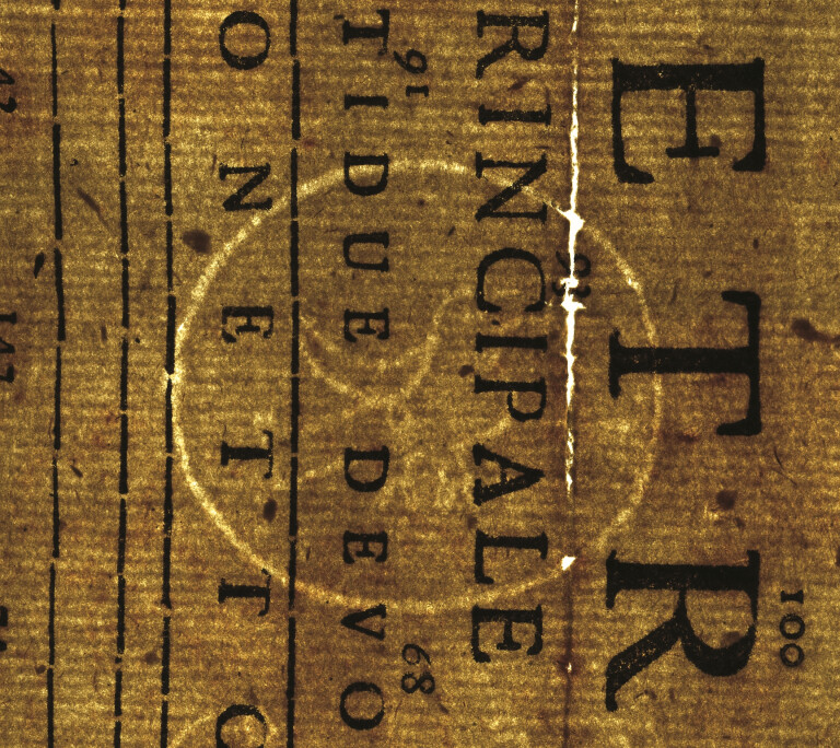 image of ID. 206 colomba cerchiata