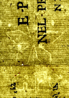 image of ID. 68 fiore a cinque petali, GFC