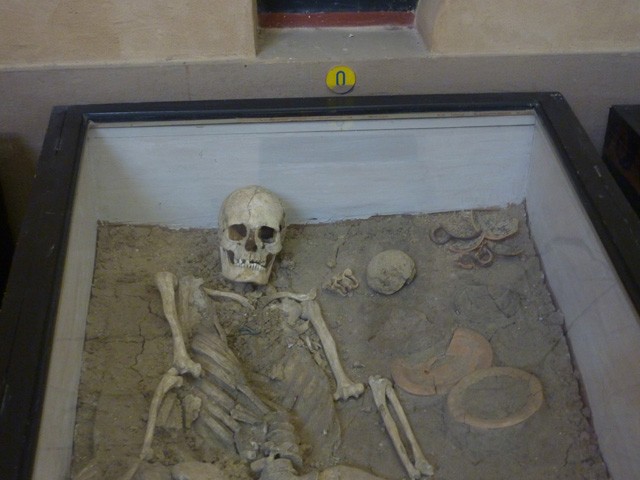 Tomba etrusca scoperta nell'area della Certosa 