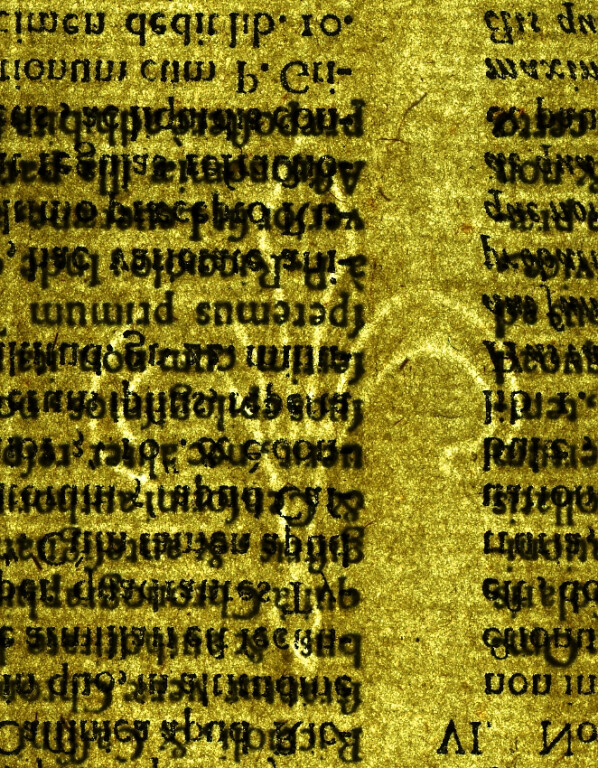 image of Id. 21 giglio