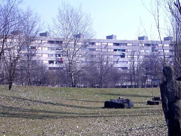 Il Virgolone dal giardino Pasolini