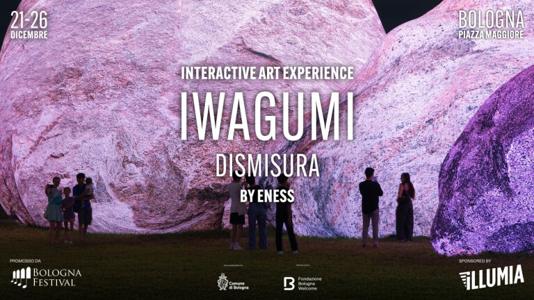 immagine di Iwagumi - Dismisura by ENESS