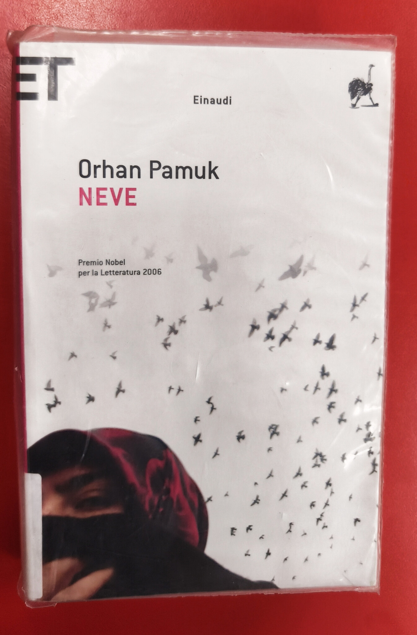 copertina di Gruppo di Lettura Il Pilastro della Mente