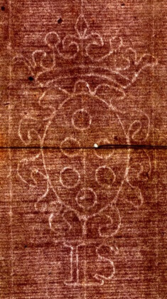 image of ID. 73 stemma Medici, IS