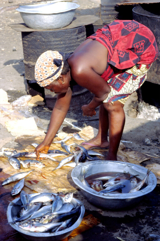 Selezione del pescato al mercato di Accra - Ghana - 2005