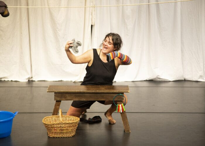 copertina di L’elefantino